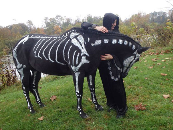 disfraz-mascotas-halloween-281__605