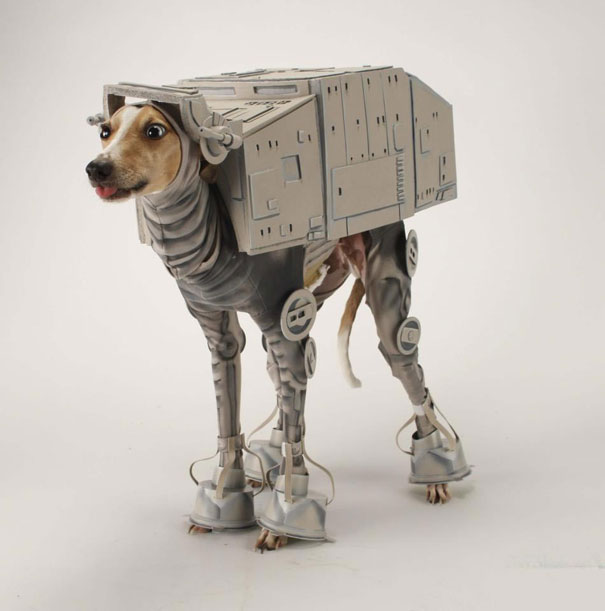 disfraz-mascotas-halloween-361__605