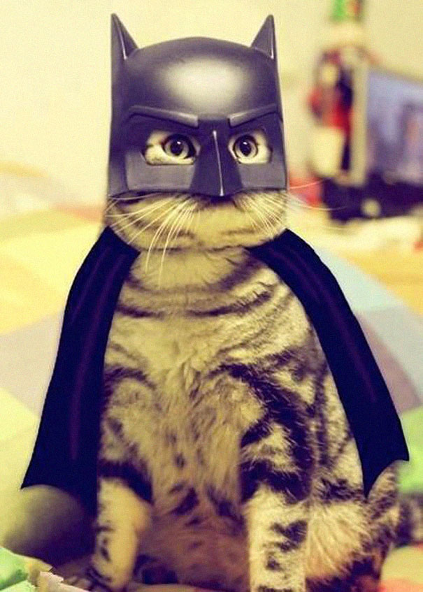 disfraz-mascotas-halloween-76__605