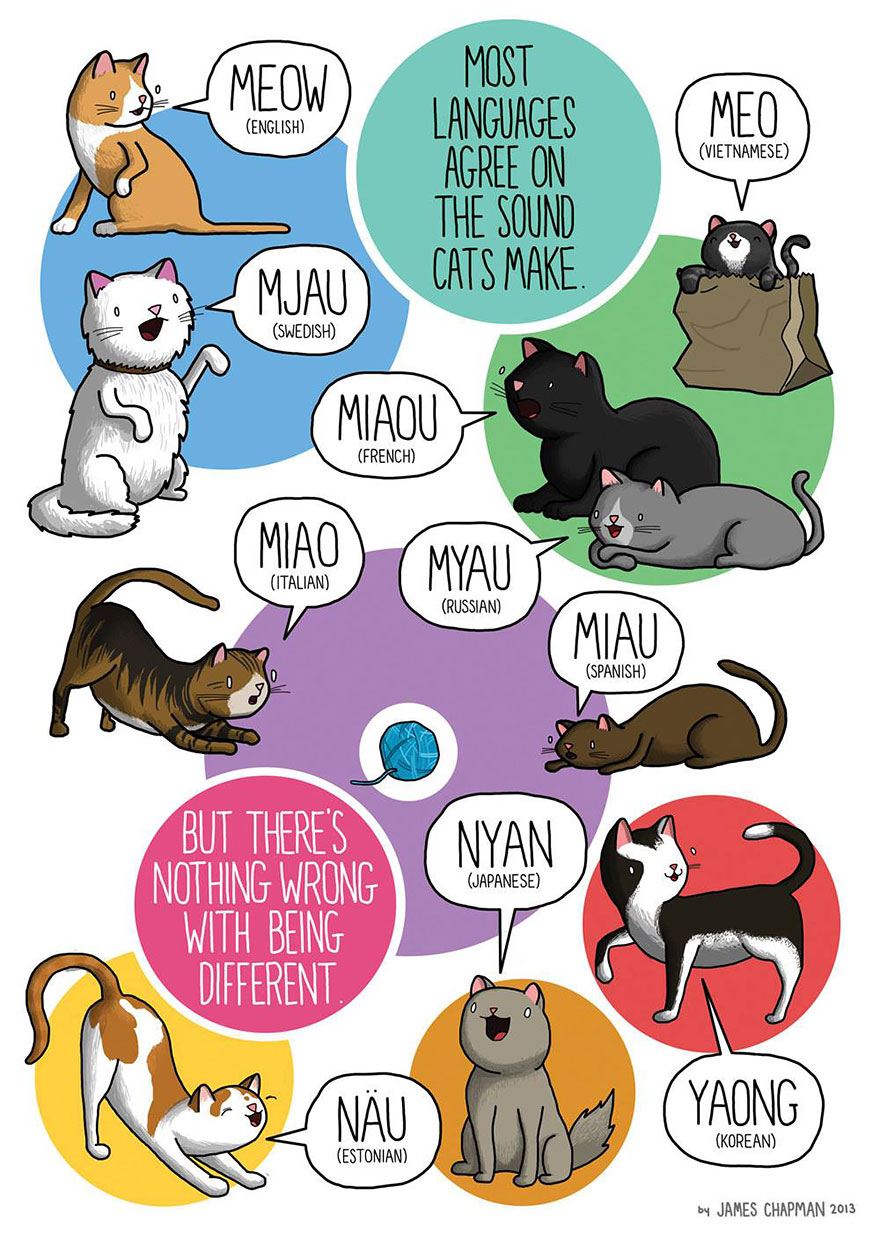 expresiones-distintos-idiomas-james-chapman-20