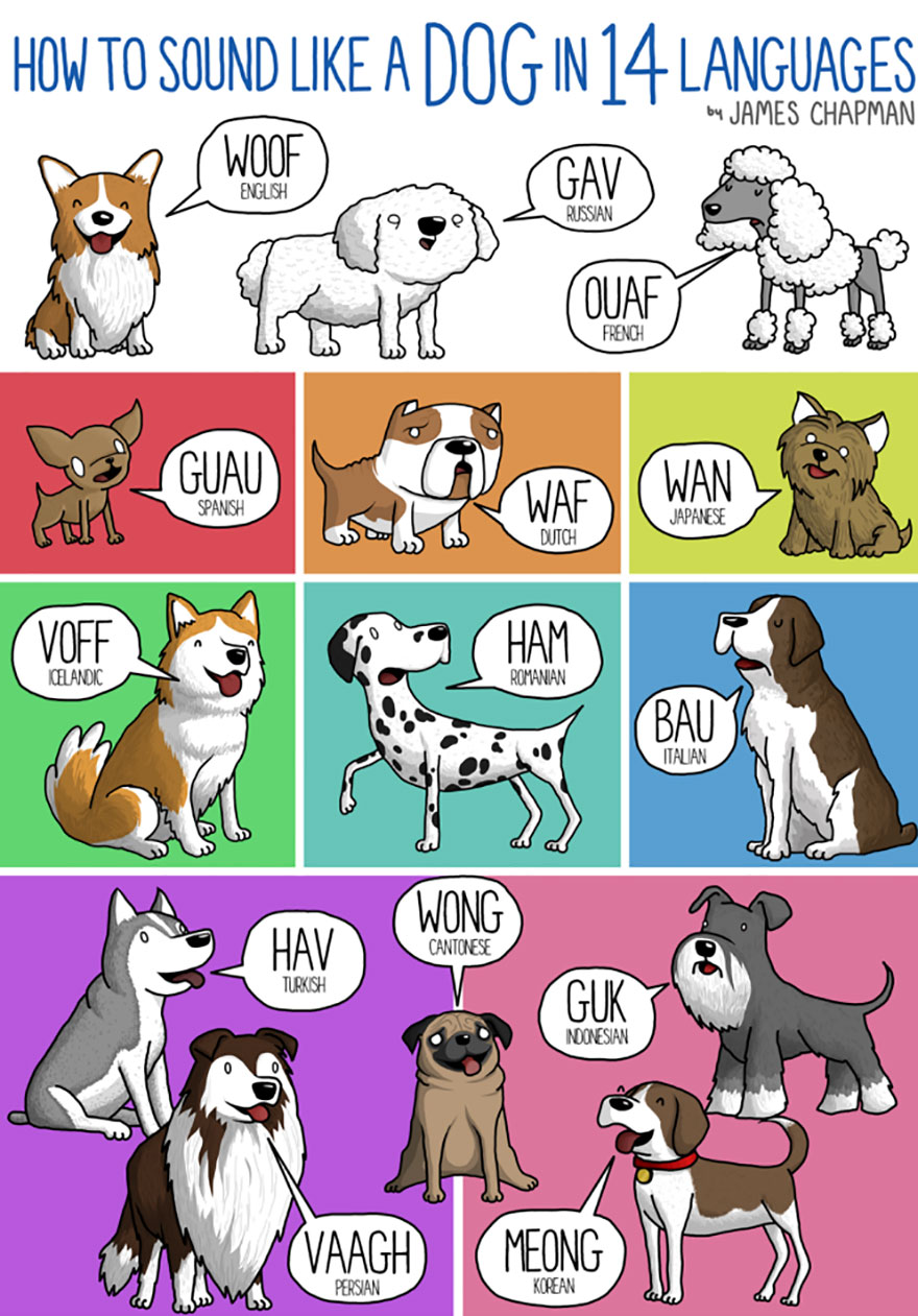 expresiones-distintos-idiomas-james-chapman-24