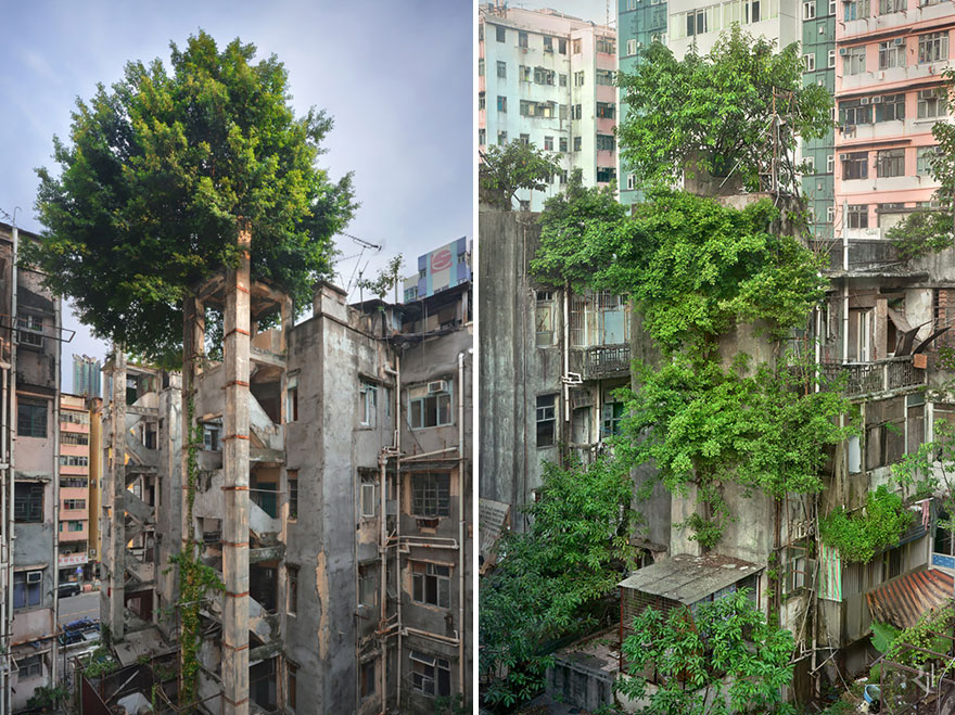 naturaleza-recupera-lugares-abandonados-27