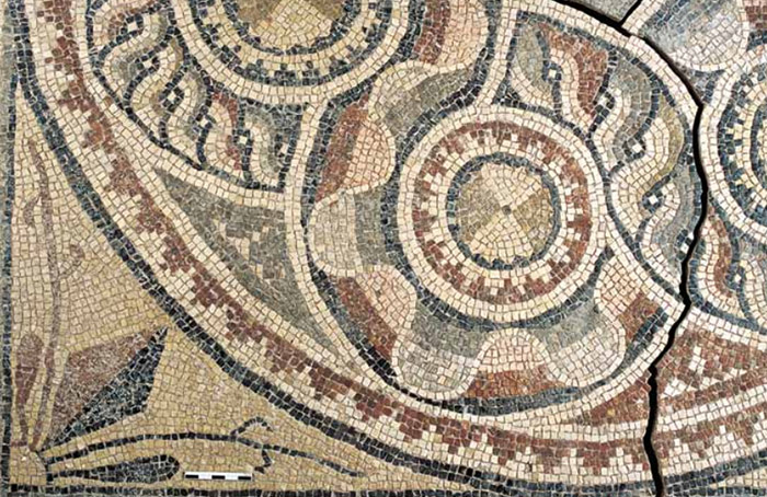 antiguos-mosaicos-excavados-zeugma- (11)