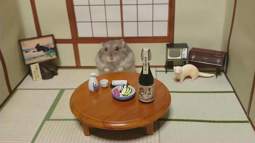bar-diminuto-hamsters-10
