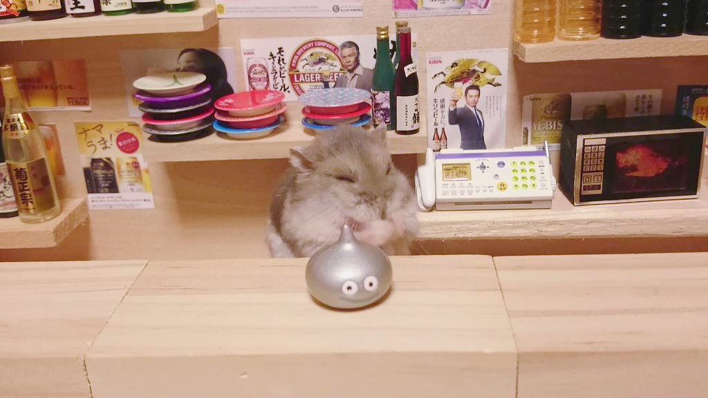 bar-diminuto-hamsters-11