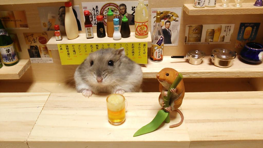 bar-diminuto-hamsters-15