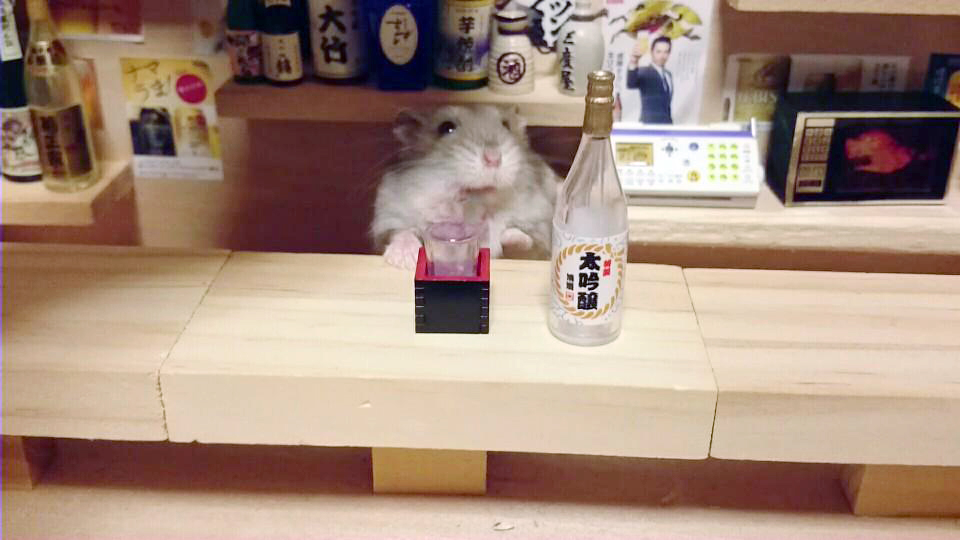 bar-diminuto-hamsters-18