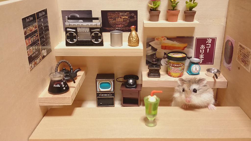 bar-diminuto-hamsters-2