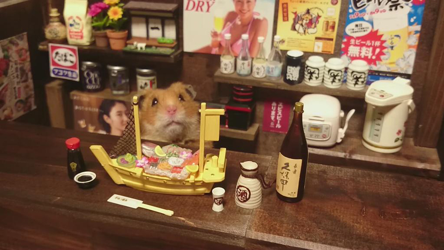 bar-diminuto-hamsters-7