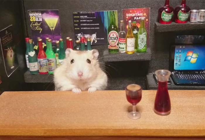 Hamsters Camareros Que Te Atenderán Gustosos En Sus Pequeños Bares