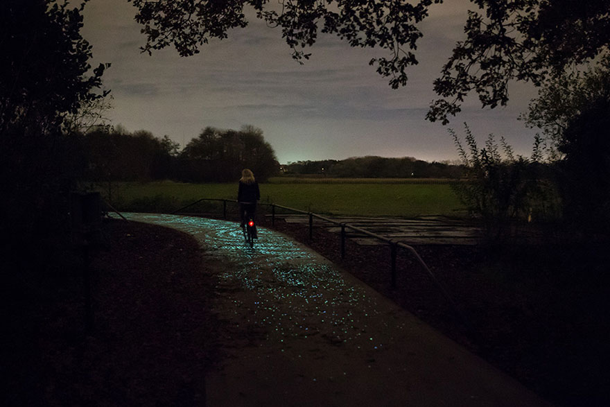 camino-brillante-bicis-noche-estrellada- (2)