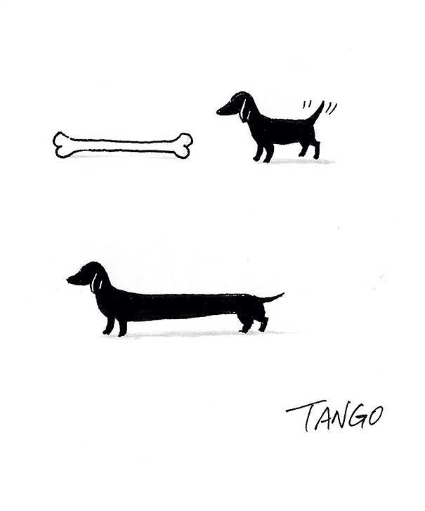 comic-minimalista-animales-shangai-tango- (3)