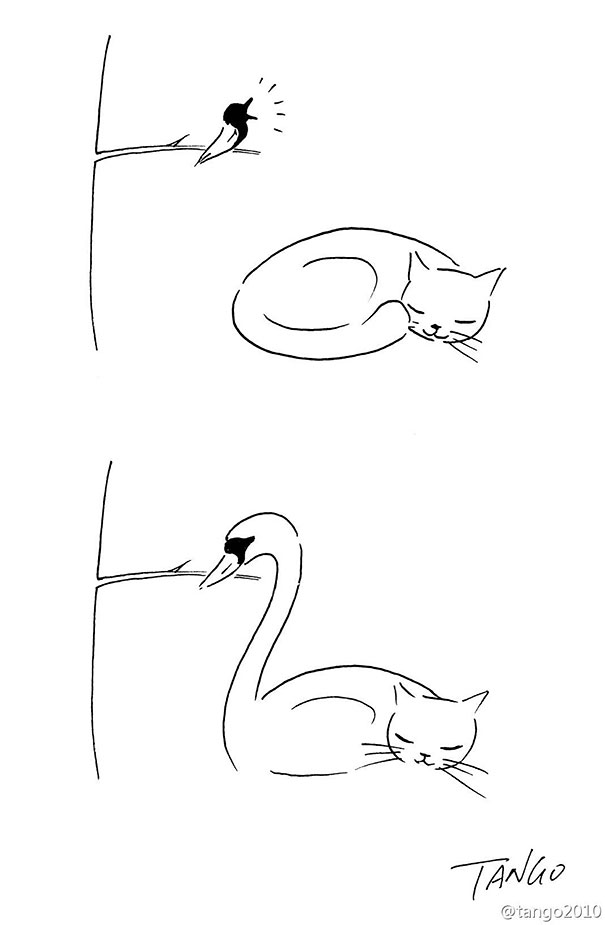 comic-minimalista-animales-shangai-tango- (8)