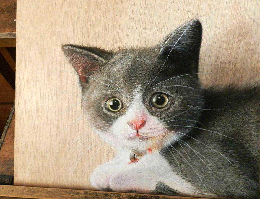dibujos-fotorrealistas-ivan-hoo- (11)