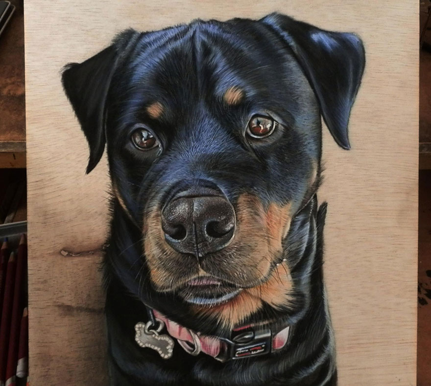 dibujos-fotorrealistas-ivan-hoo- (7)