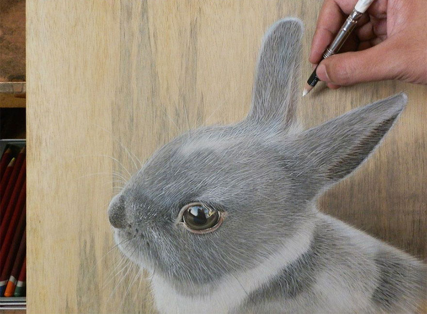dibujos-fotorrealistas-ivan-hoo- (9)