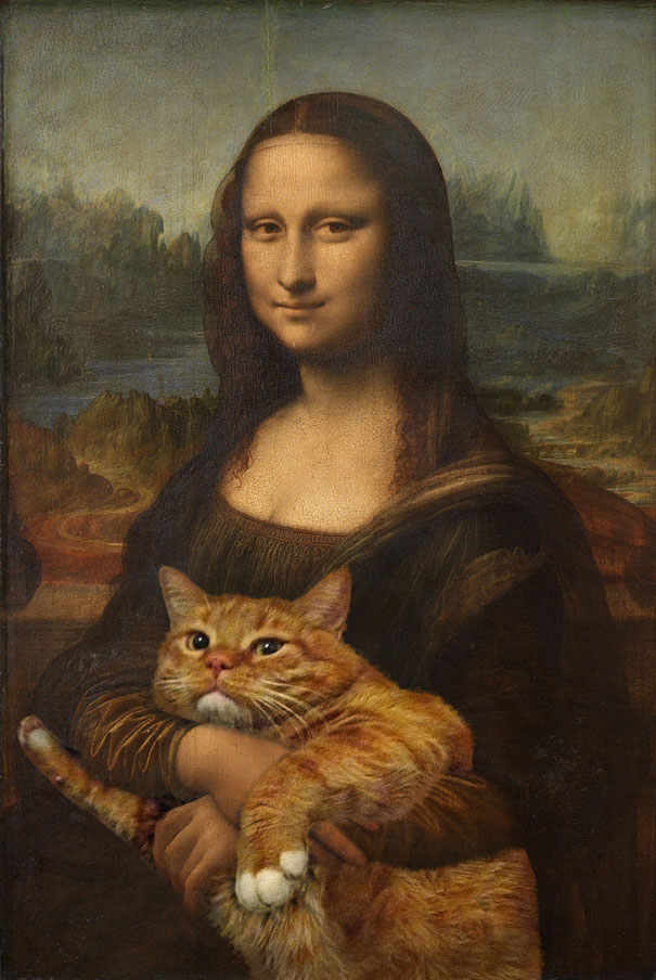 gatos-famosos-internet- (17)