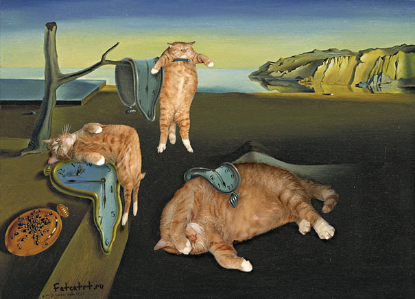 gatos-famosos-internet- (18)