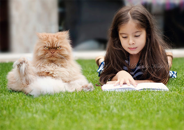 gatos-famosos-internet- (3)