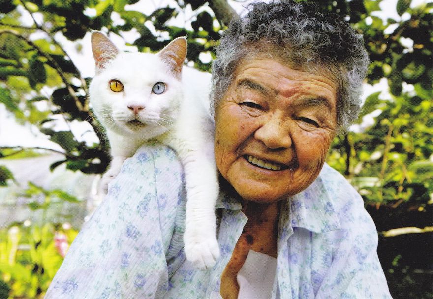 gatos-famosos-internet- (9)