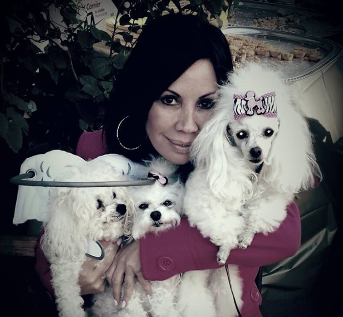halo-seguridad-perros-ciegos- (15)