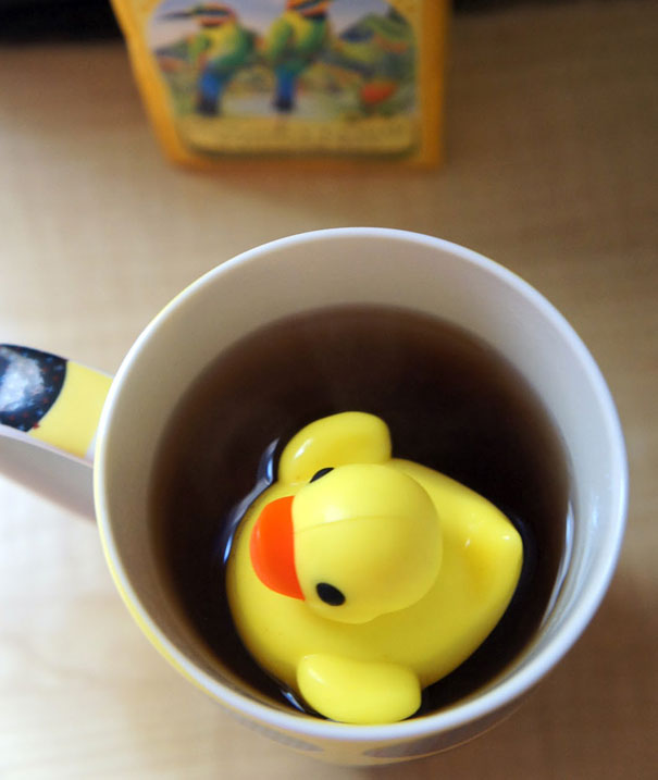 infusores-te-creativos- (5)