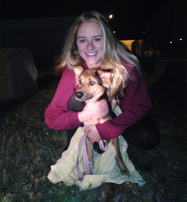 leo-perro-paralitico-rescate- (5)