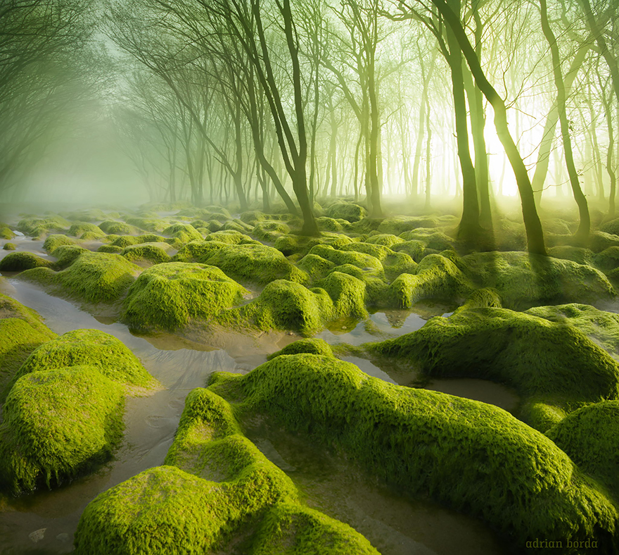 lugares-increibles-rumania- (1)
