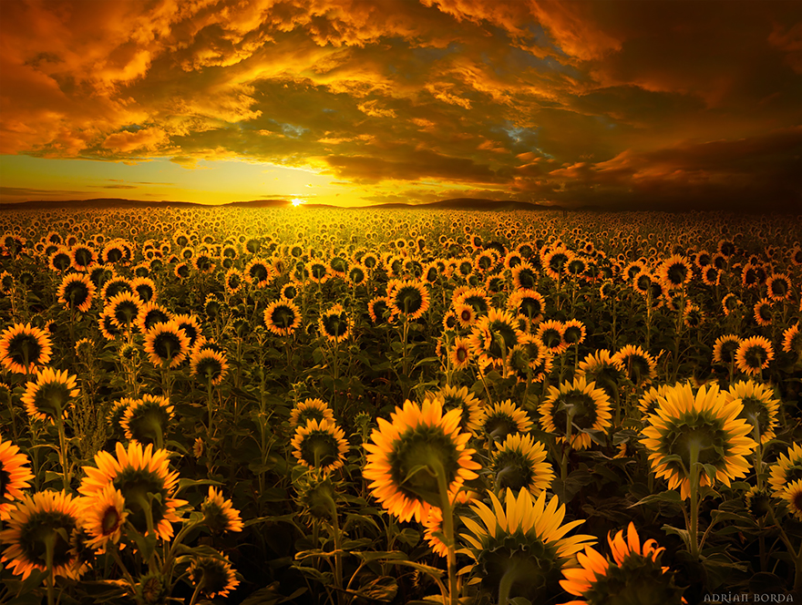 lugares-increibles-rumania- (4)