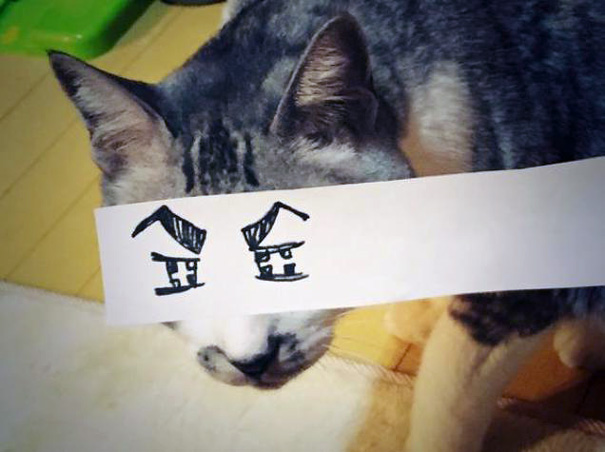 ojos-anime-gatos- (3)