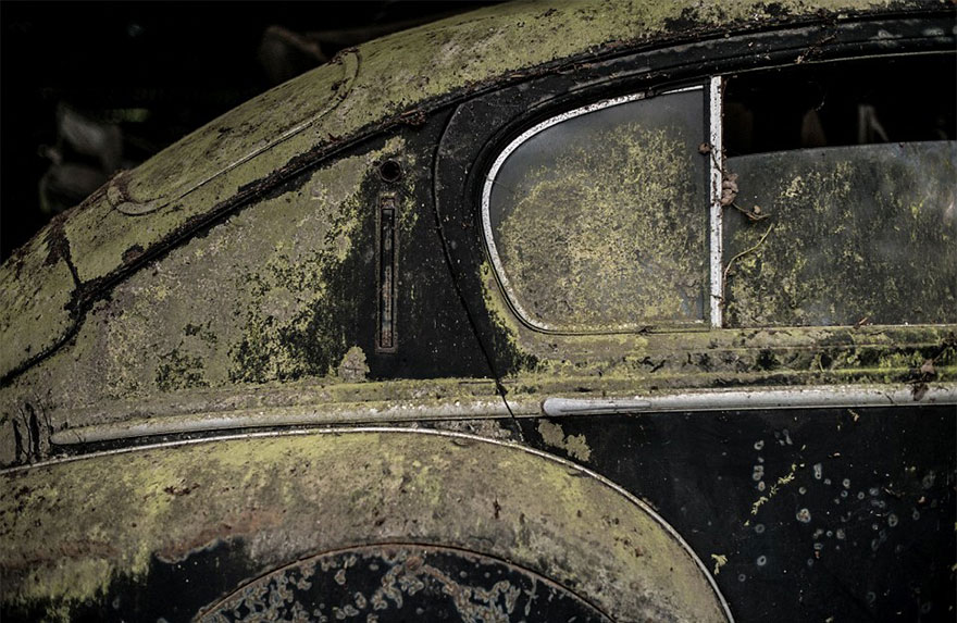 coleccion-coches-clasicos-abandonados-baillon (13)