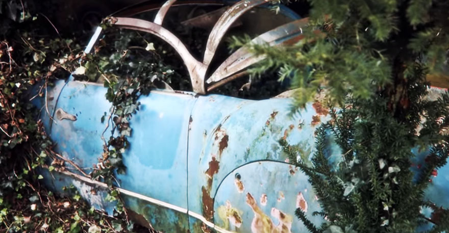 coleccion-coches-clasicos-abandonados-baillon (16)