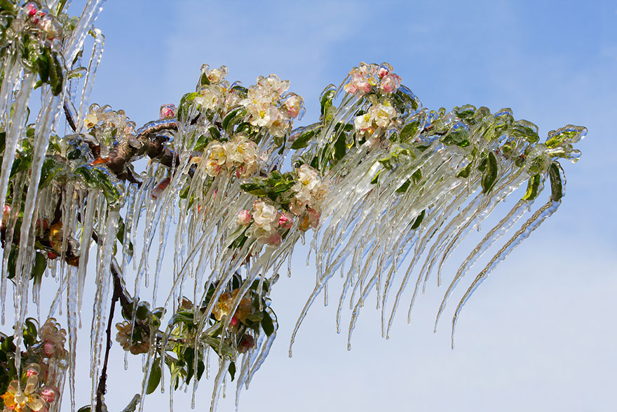 formaciones-hielo-nieve (13)