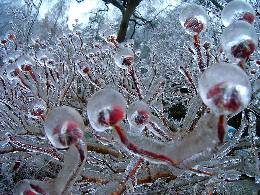 formaciones-hielo-nieve (27)