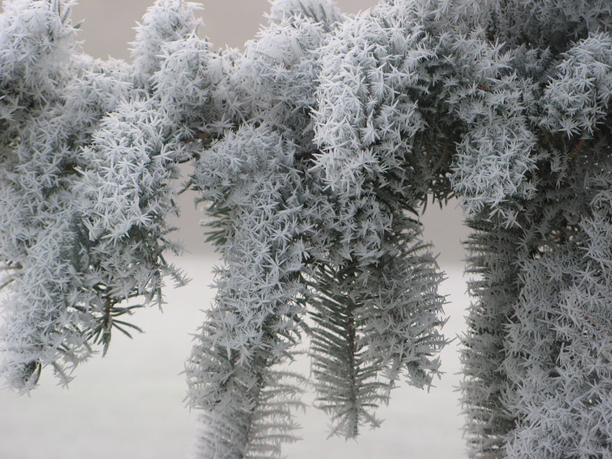 formaciones-hielo-nieve (9)