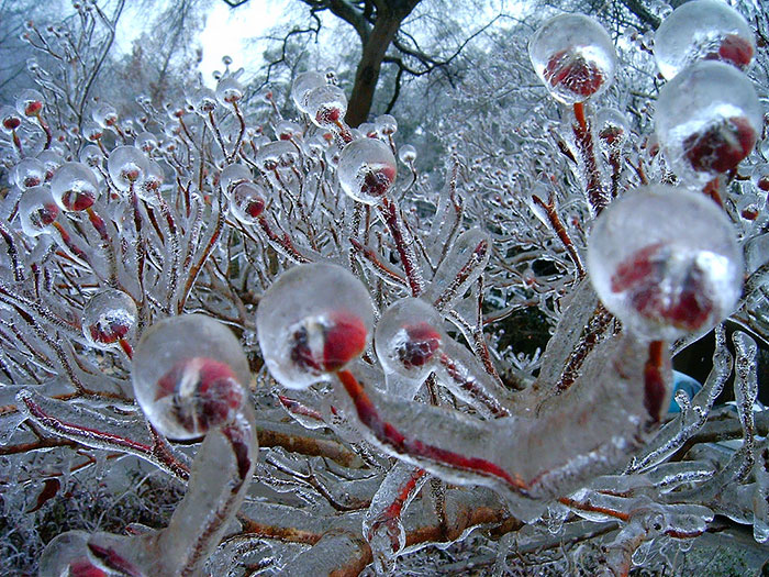 24 Formaciones De Hielo Y Nieve Tan Bonitas Que Parecen Arte