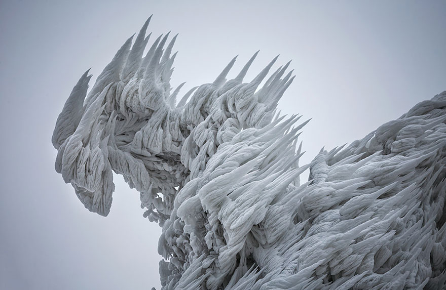 monte-javornik-invierno-eslovenia-marko-korosec (1)