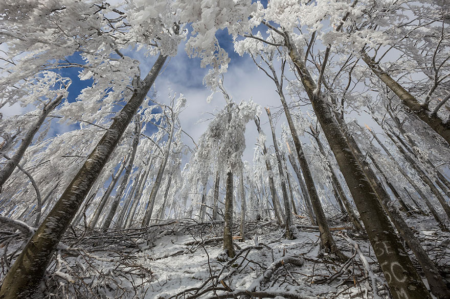 monte-javornik-invierno-eslovenia-marko-korosec (5)