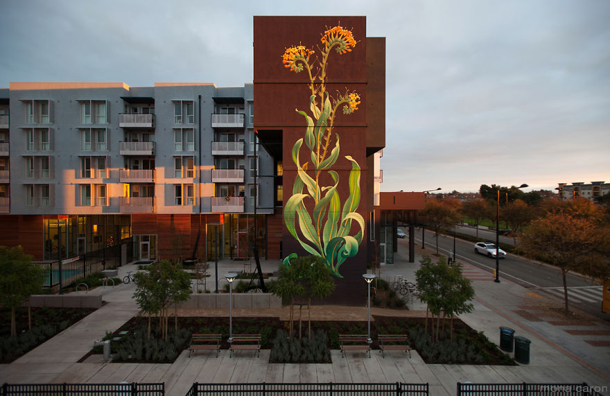 murales-malas-hierbas-mona-caron (8)
