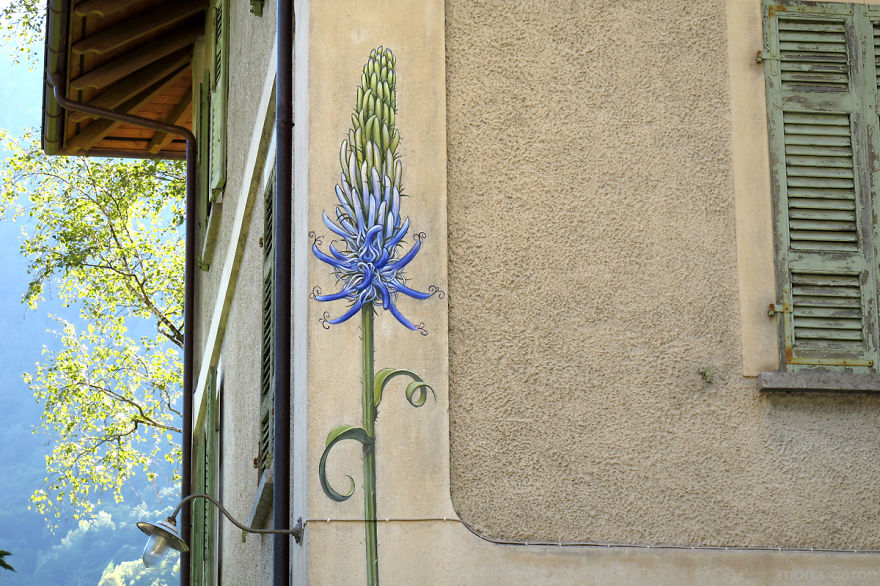 murales-malas-hierbas-mona-caron (9)