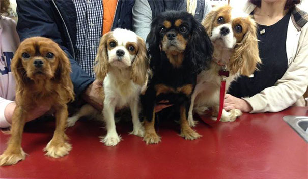 operacion-rescate-cavalier- (19)