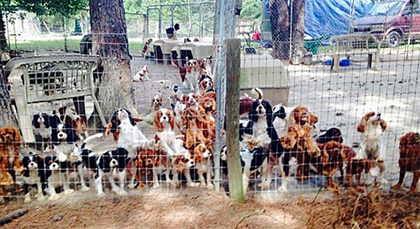operacion-rescate-cavalier- (20)