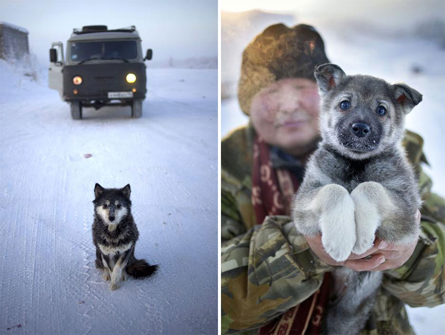 oymyakon-pueblo-helado-amos-chapple (2)