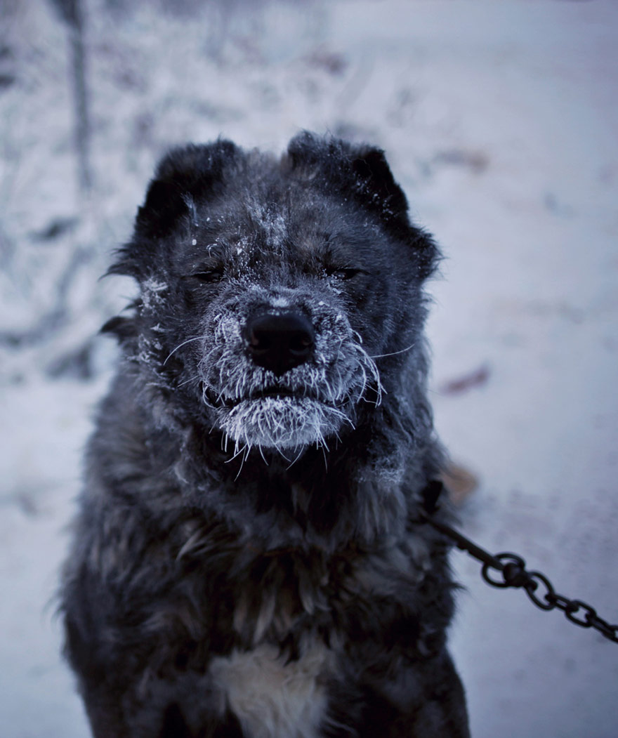 oymyakon-pueblo-helado-amos-chapple (21)