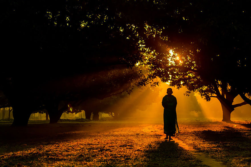 participantes-premios-sony-fotografia (11)