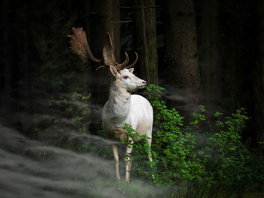 participantes-premios-sony-fotografia (13)