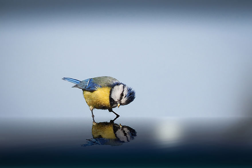 participantes-premios-sony-fotografia (15)