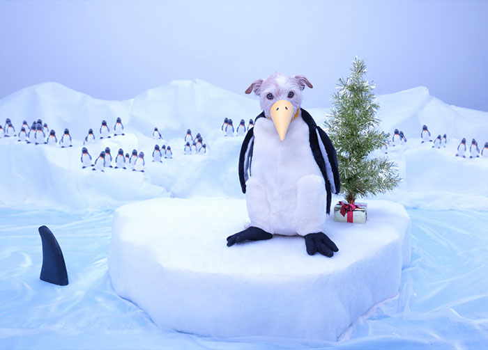 perro-transformado-animales-navidad-peter-thorpe (3)
