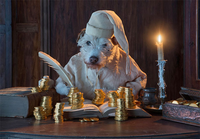 perro-transformado-animales-navidad-peter-thorpe (8)