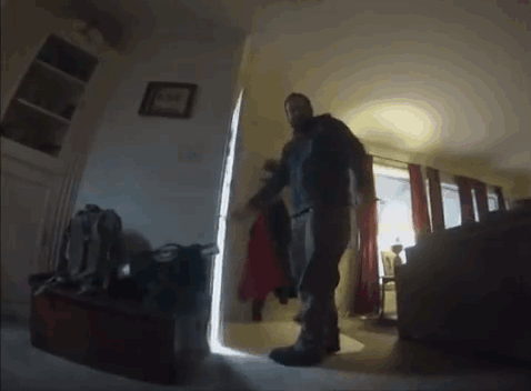 perro-triste-gopro (1)